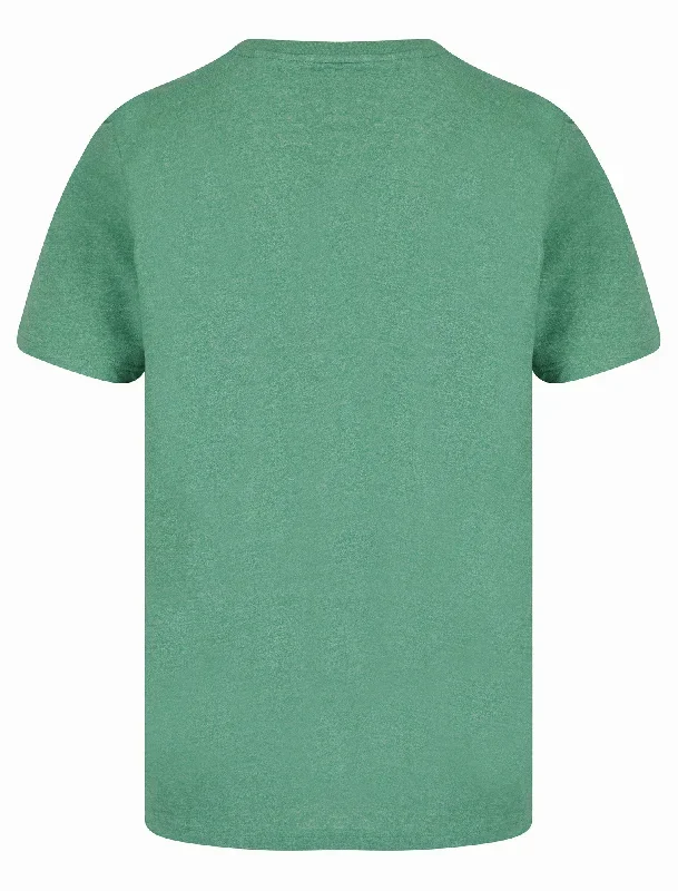 enter-motif-cotton-jersey-grindle-t-shirt-in-light-green-tokyo-laundry